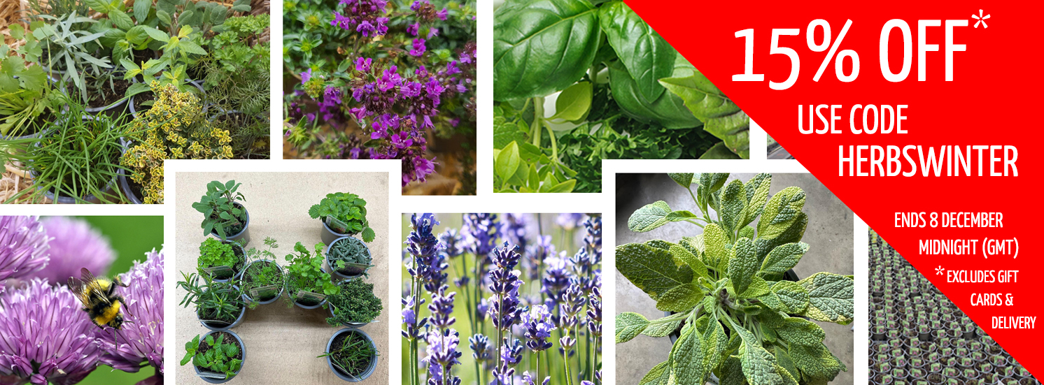 Hetty's Herbs 15% Off Everything Offer use Code HERBSWINTER